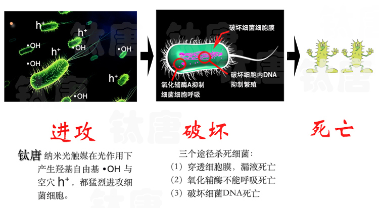 圖片8.png